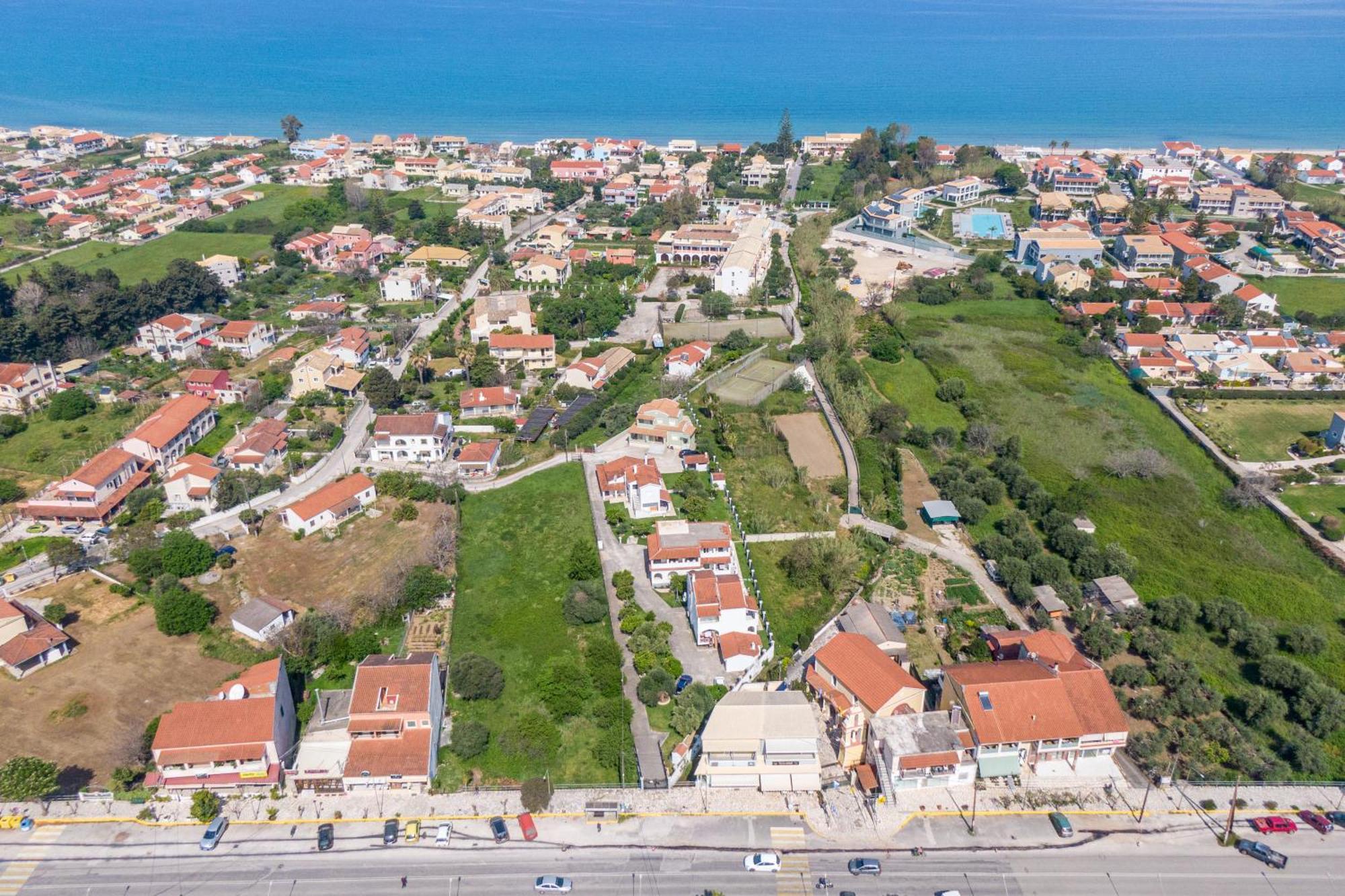 Olivea 2